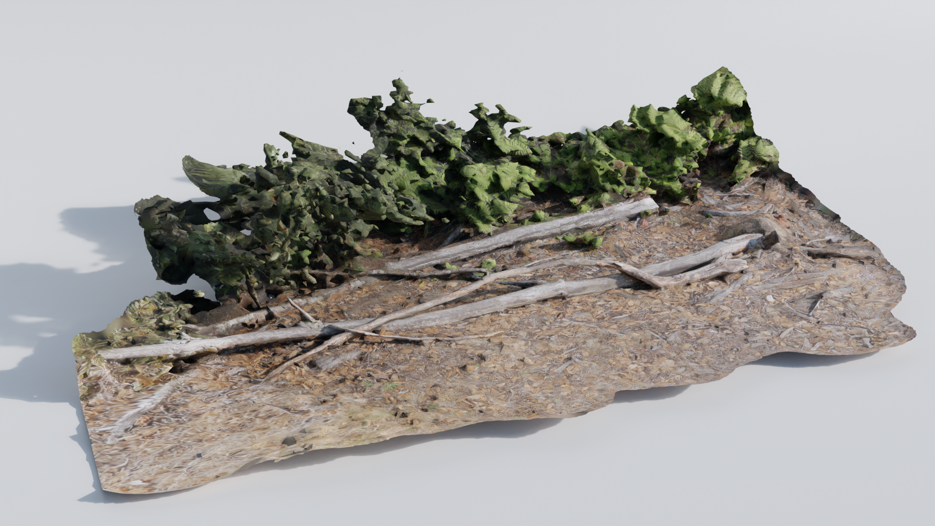Branch Rubble preview image 1